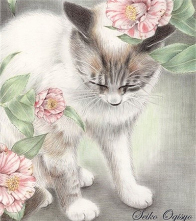 彩铅画猫咪作品欣赏(彩铅画临摹素材)