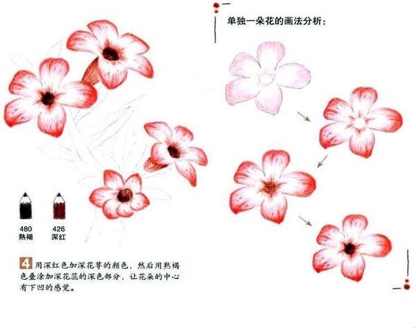 沙漠玫瑰彩铅画怎么画？彩铅画花卉绘画教程