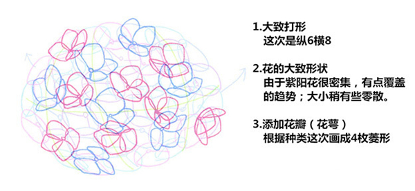 插画花卉教程：绣球花画法步骤