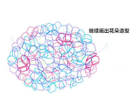 插画花卉教程：绣球花画法步骤