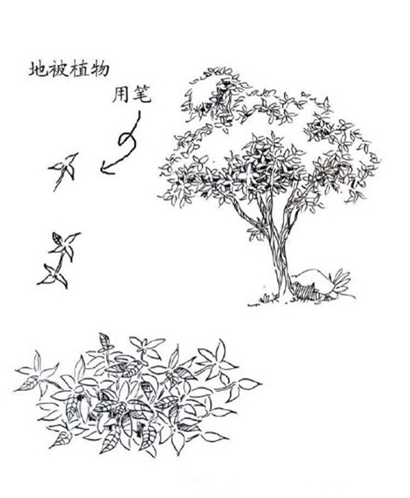 钢笔画入门：钢笔画的起稿教学