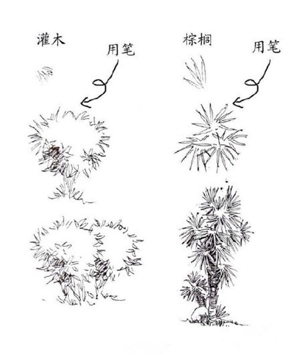 钢笔画入门：钢笔画的起稿教学