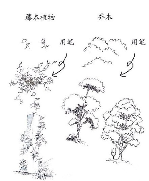 钢笔画入门：钢笔画的起稿教学