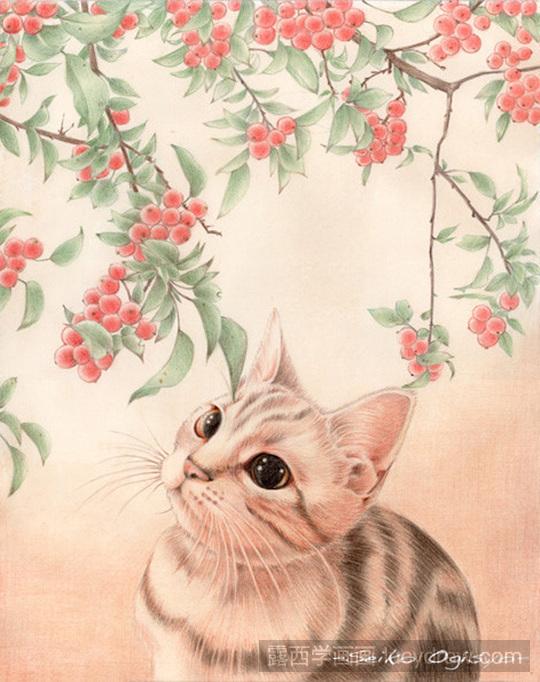 彩铅画猫咪作品欣赏(彩铅画临摹素材)