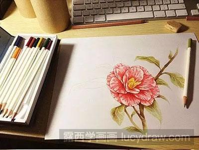 彩铅画教程-怎么绘制一朵漂亮的花