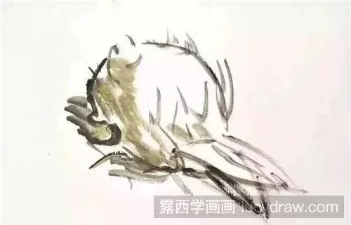 火龙果水粉画教程