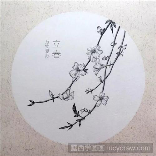 插画手绘教程：迎春花黑白画画法