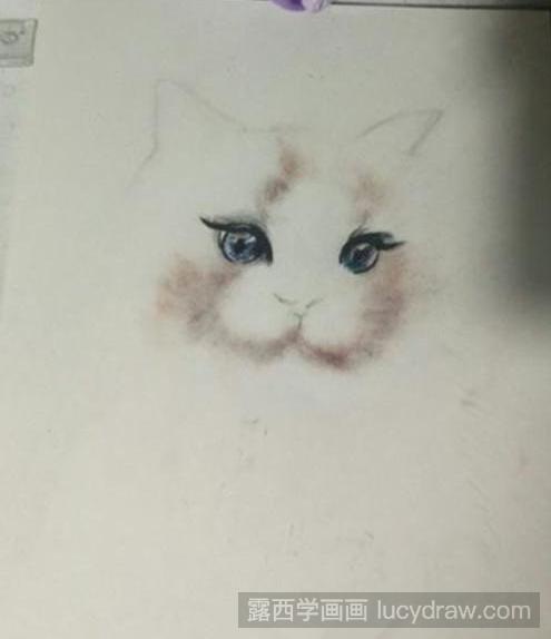 色粉画教程：布偶猫如何画？