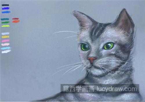 色粉画猫怎么画？有哪些绘画步骤？