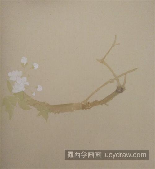 李花怎么画？如何用没骨法画李花？