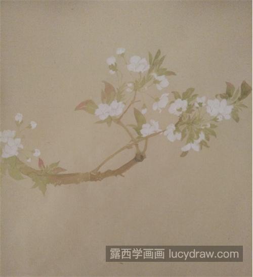 李花怎么画？如何用没骨法画李花？