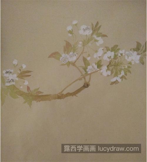 李花怎么画？如何用没骨法画李花？