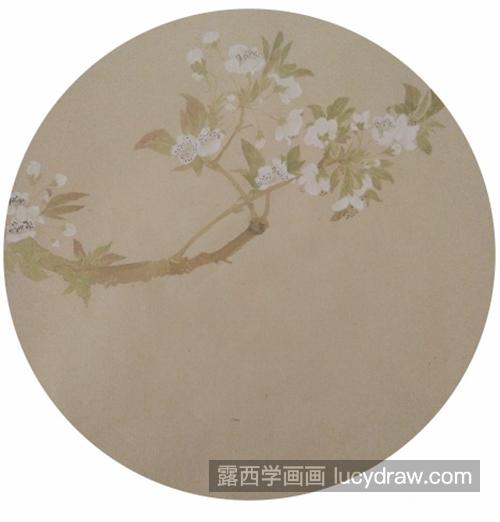 李花怎么画？如何用没骨法画李花？