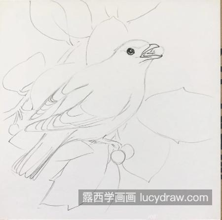 十二黄怎么画？太平鸟的简笔画步骤有几步？