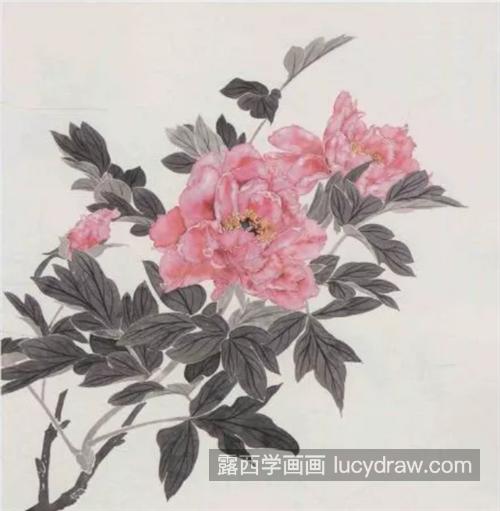 牡丹和石榴花怎么画？画法步骤有哪些？