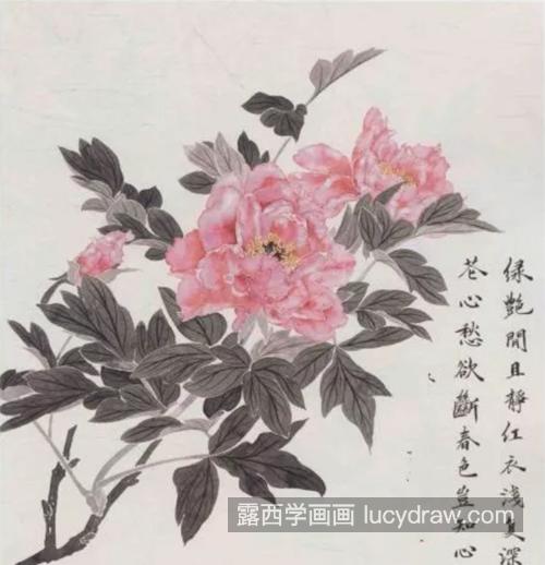 牡丹和石榴花怎么画？画法步骤有哪些？