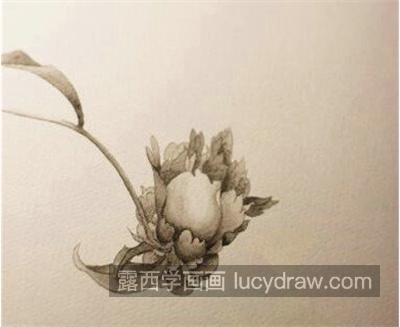 蓝色花朵怎么画？简单的丙烯画教程是什么？