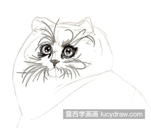 布偶猫怎么画？教你画一只肥猫