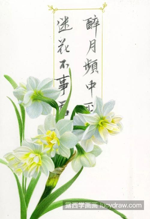 水仙花怎么画？详细的绘画过程是什么？