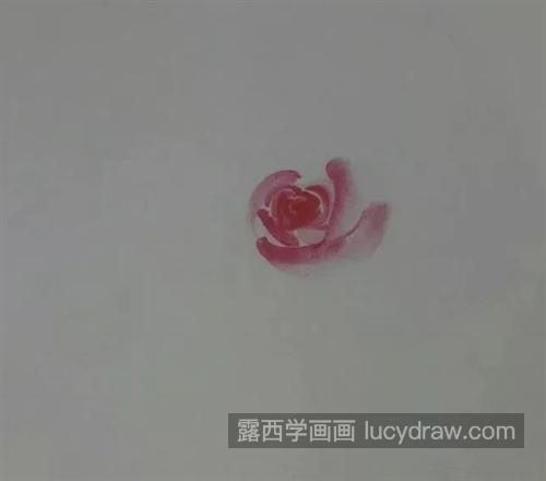 茶花怎么画？有哪些国画步骤？