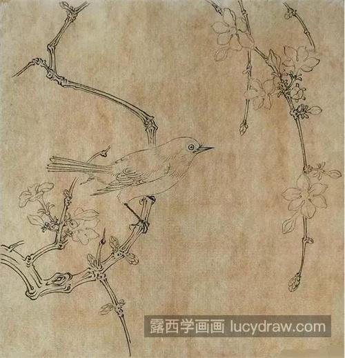 迎春花怎么画？绣眼鸟的工笔画法是什么？