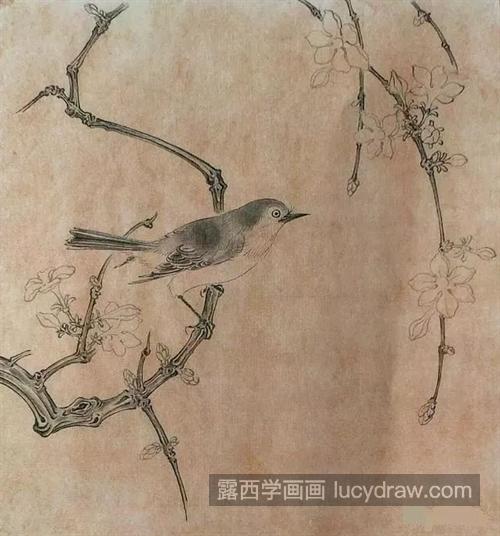 迎春花怎么画？绣眼鸟的工笔画法是什么？