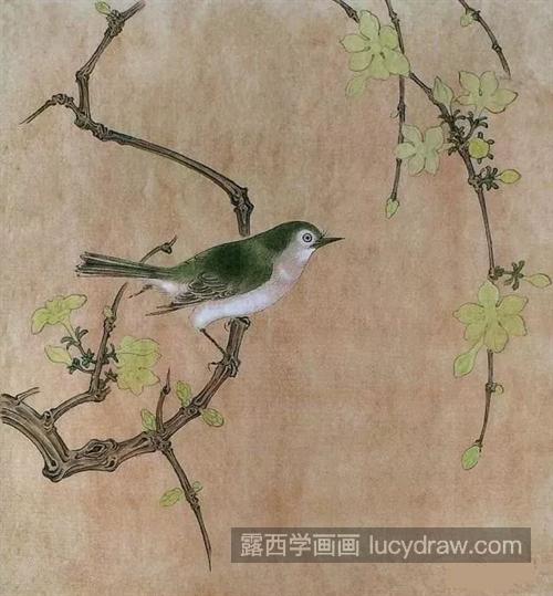 迎春花怎么画？绣眼鸟的工笔画法是什么？