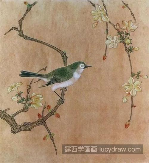 迎春花怎么画？绣眼鸟的工笔画法是什么？