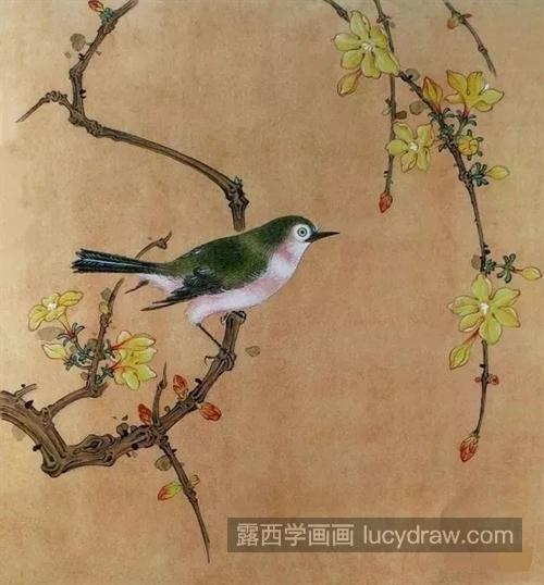 迎春花怎么画？绣眼鸟的工笔画法是什么？