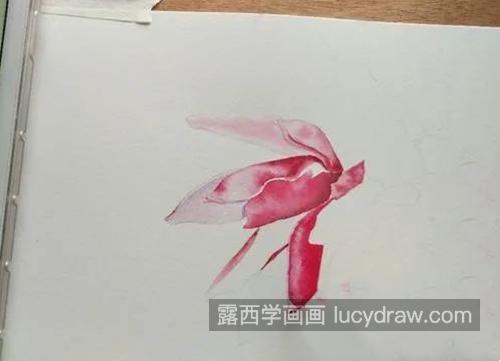 辛夷花怎么画？如何画阳光下的紫玉兰？