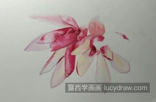 辛夷花怎么画？如何画阳光下的紫玉兰？