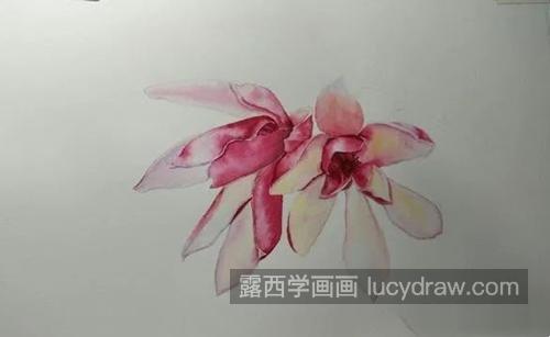 辛夷花怎么画？如何画阳光下的紫玉兰？