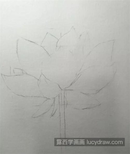 如何画粉色荷花？水彩渐变技巧是什么？