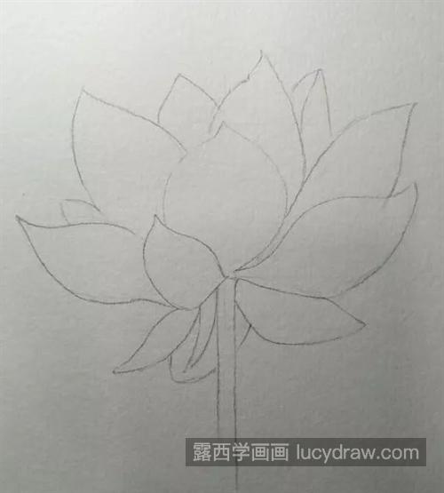 如何画粉色荷花？水彩渐变技巧是什么？