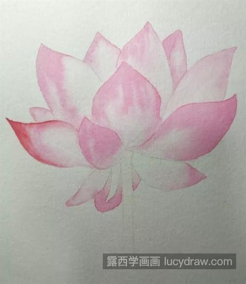 如何画粉色荷花？水彩渐变技巧是什么？