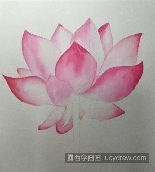 如何画粉色荷花？水彩渐变技巧是什么？