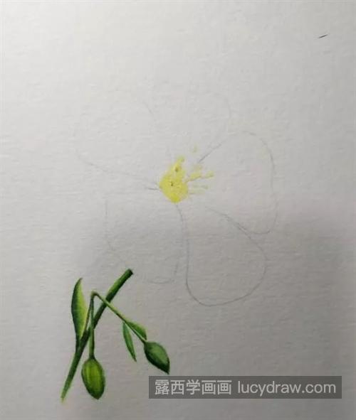 蓝色小花怎么画？详细的绘画过程是什么？