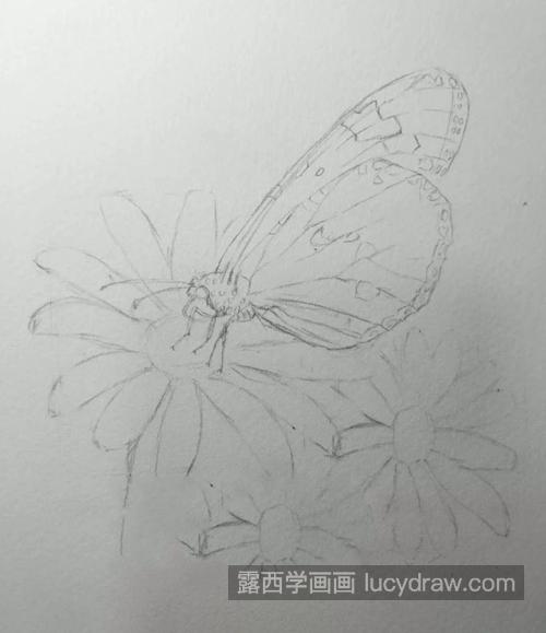 蝴蝶鲜花怎么画？如何画水彩蝶恋花？