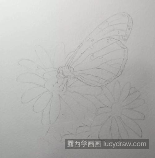 蝴蝶鲜花怎么画？如何画水彩蝶恋花？