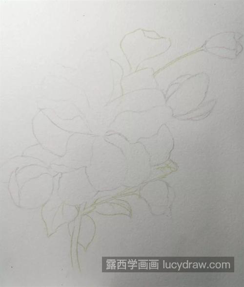 海棠花朵怎么画？水彩绘画步骤有几步？