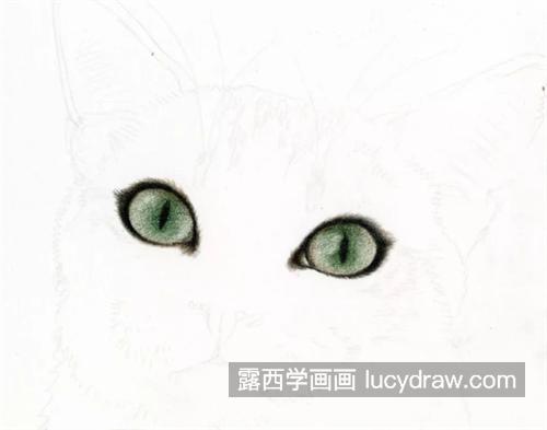 戴蝴蝶结的猫咪怎么画？有哪些绘画步骤？