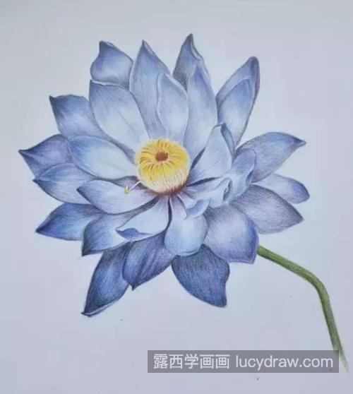 蓝莲花怎么画？四步教你画一朵蓝色莲花