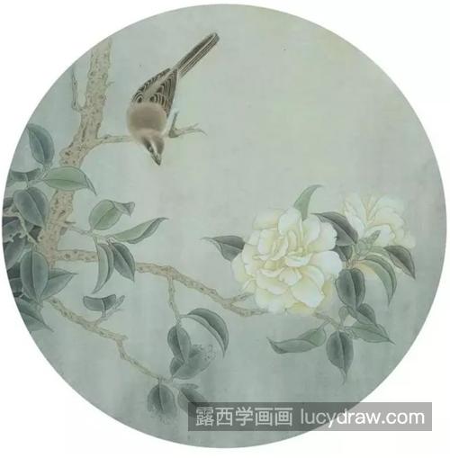 茶花麻雀怎么画？设色步骤有哪些？