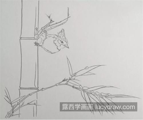 翠竹小鸟怎么画？绘画教程是什么？