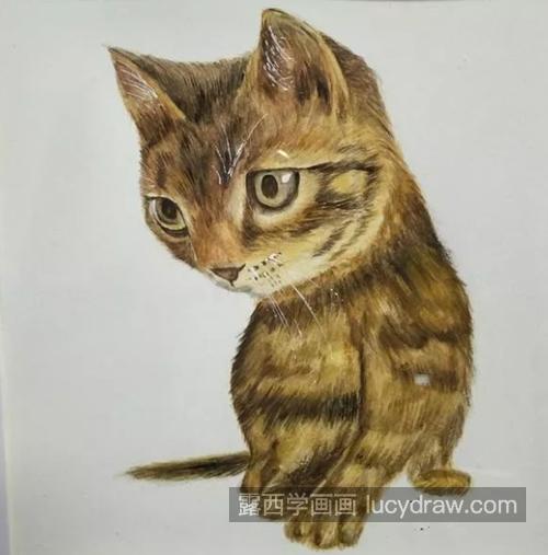 小猫咪怎么画？绘画流程是什么？