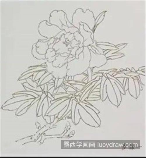 简单的国画花卉零基础入门 国画花卉怎么画