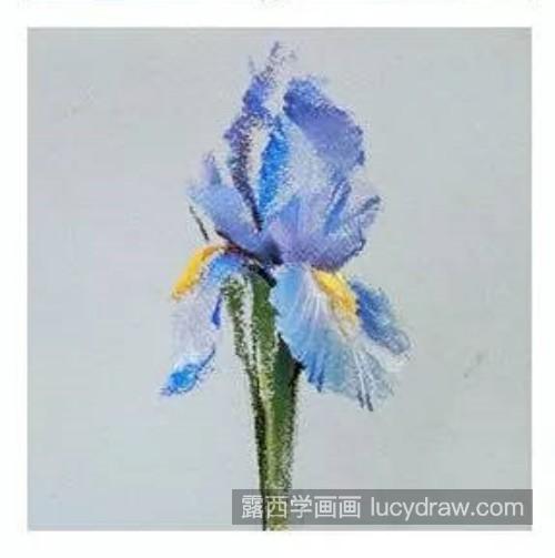 色粉画花卉入门教程 花卉怎么用色粉画