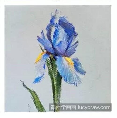 色粉画花卉入门教程 花卉怎么用色粉画