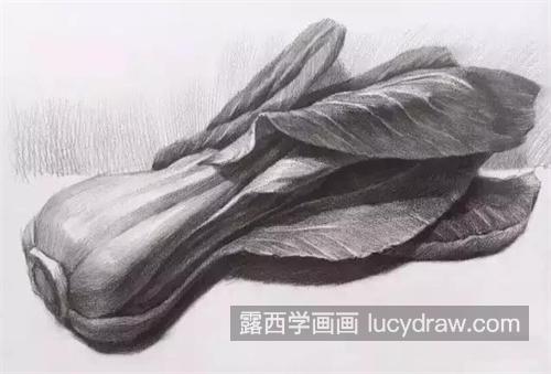 素描单个静物需要注意哪些事项 素描单个物体方法教程