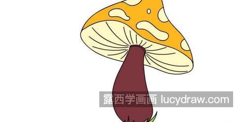 漂亮又简单蘑菇的简笔画怎么画 可爱又漂亮蘑菇的简笔画教学